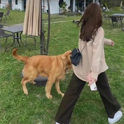 拯救圣诞记 封面